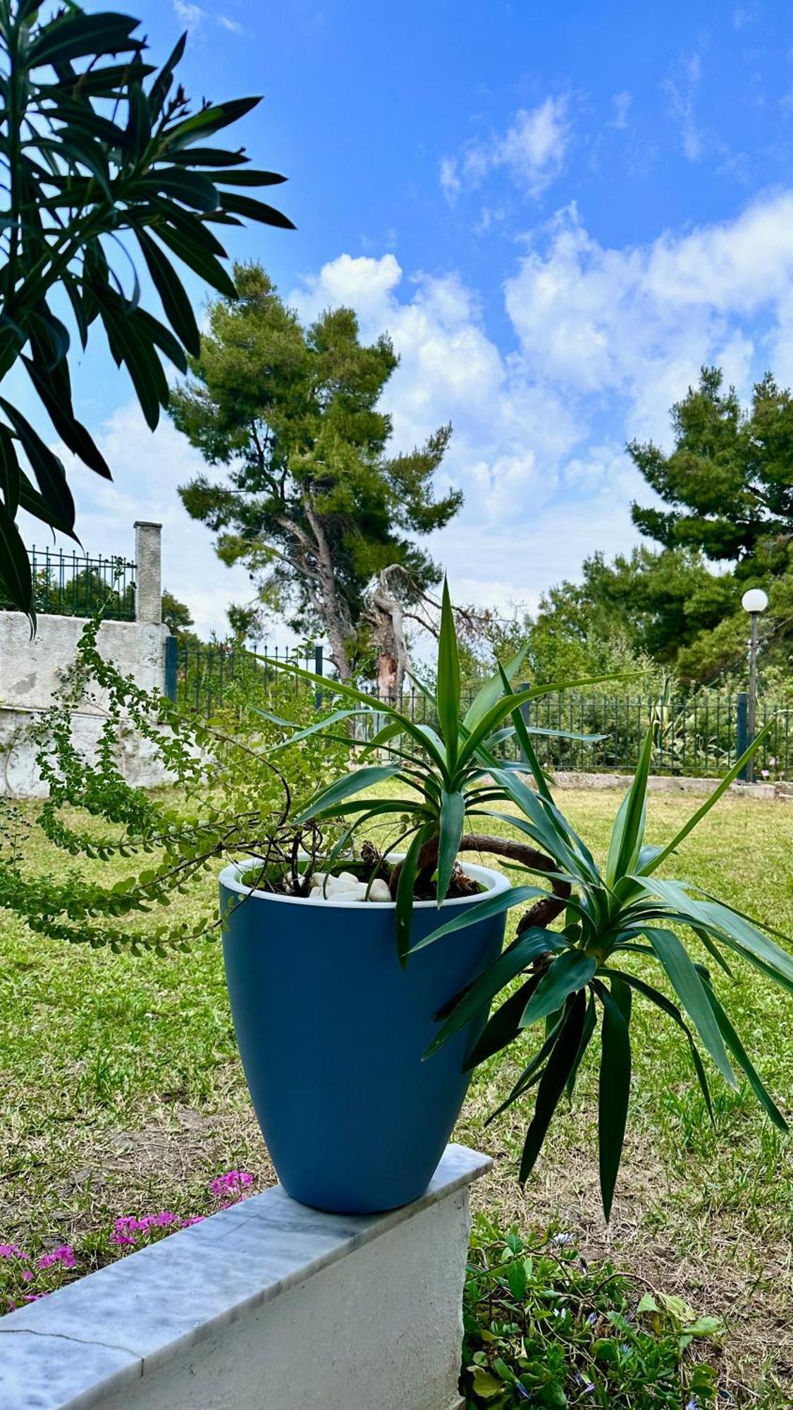 Apartamento Rita Sea View Kallithea  Exterior foto